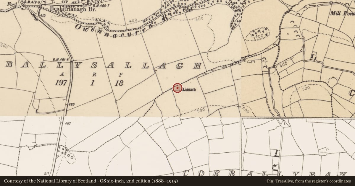 Ordnance Survey six-inch map, 2nd edition (1888–1915) covering the location of Ringfort - rath, Corballybane, County Cork, with a pin at the register's coordinates