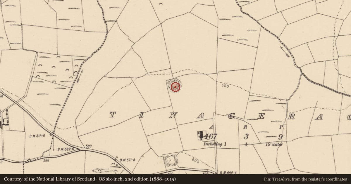 Ordnance Survey six-inch map, 2nd edition (1888–1915) covering the location of Souterrain, Tinageragh, County Cork, with a pin at the register's coordinates