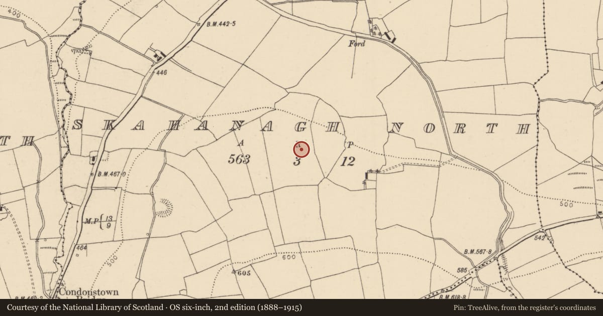 Ordnance Survey six-inch map, 2nd edition (1888–1915) covering the location of Enclosure, Skahanagh North, County Cork, with a pin at the register's coordinates