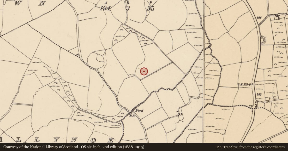 Ordnance Survey six-inch map, 2nd edition (1888–1915) covering the location of Fulacht fia, Cronavan, County Cork, with a pin at the register's coordinates