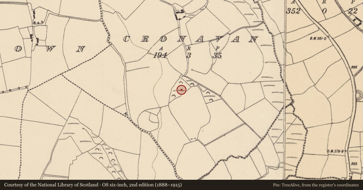 Ordnance Survey six-inch map, 2nd edition (1888–1915) covering the location of Fulacht fia, Cronavan, County Cork, with a pin at the register's coordinates