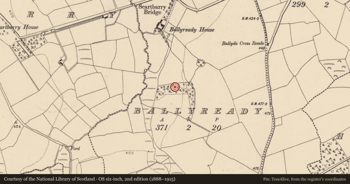 Ordnance Survey six-inch map, 2nd edition (1888–1915) covering the location of Fulacht fia, Ballyready, County Cork, with a pin at the register's coordinates