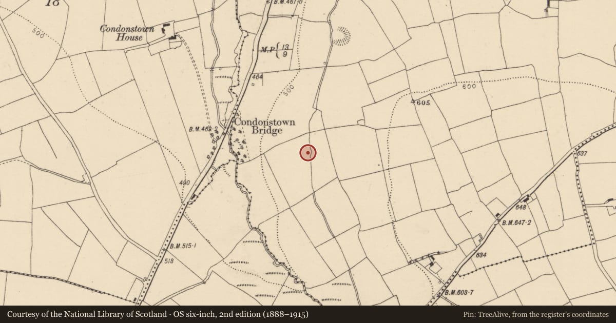 Ordnance Survey six-inch map, 2nd edition (1888–1915) covering the location of Burnt mound, Skahanagh North, County Cork, with a pin at the register's coordinates