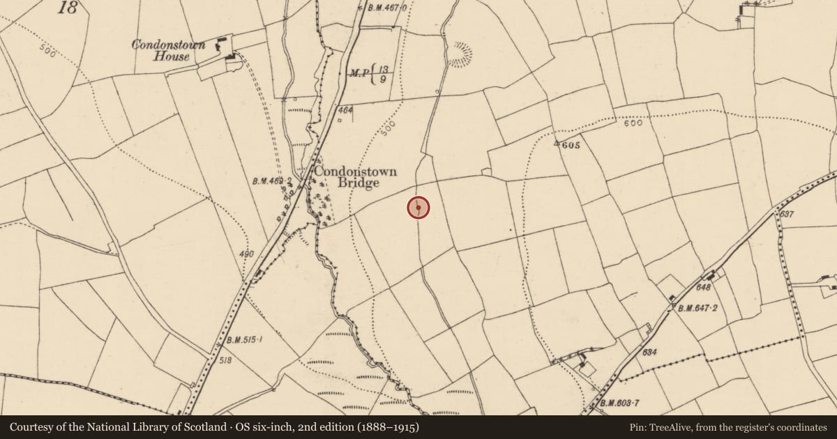 Ordnance Survey six-inch map, 2nd edition (1888–1915) covering the location of Burnt mound, Skahanagh North, County Cork, with a pin at the register's coordinates