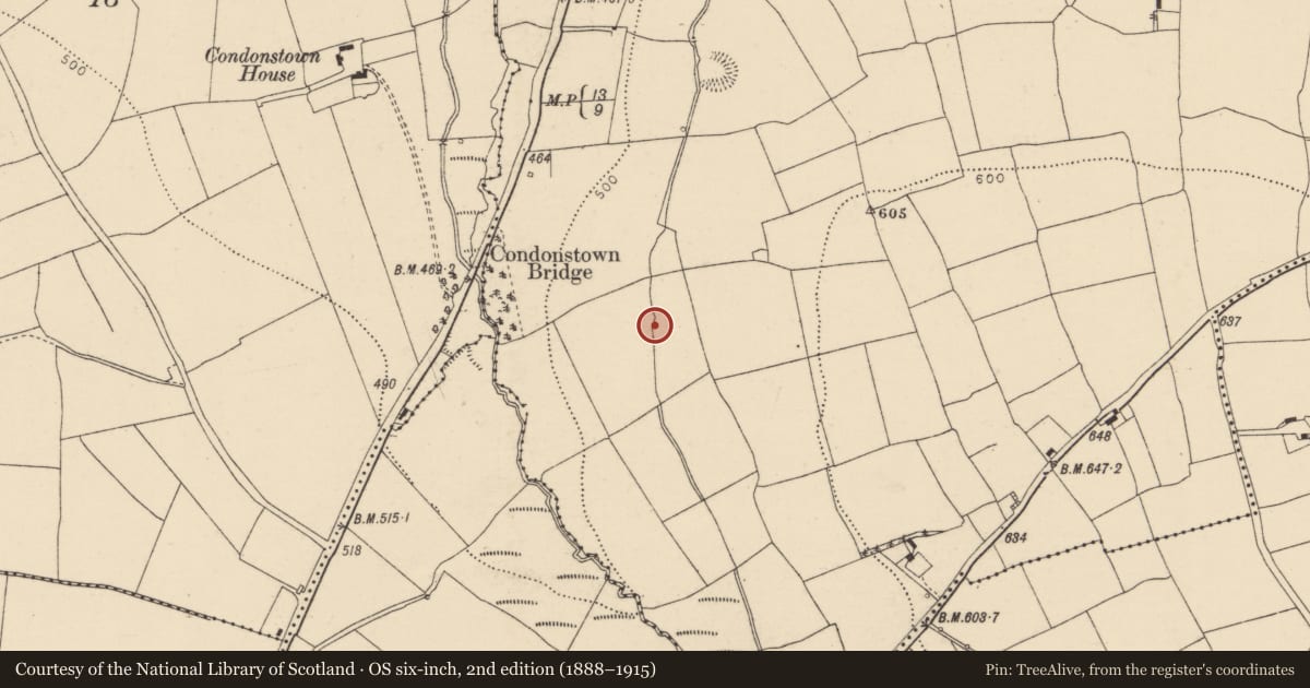 Ordnance Survey six-inch map, 2nd edition (1888–1915) covering the location of Burnt mound, Skahanagh North, County Cork, with a pin at the register's coordinates