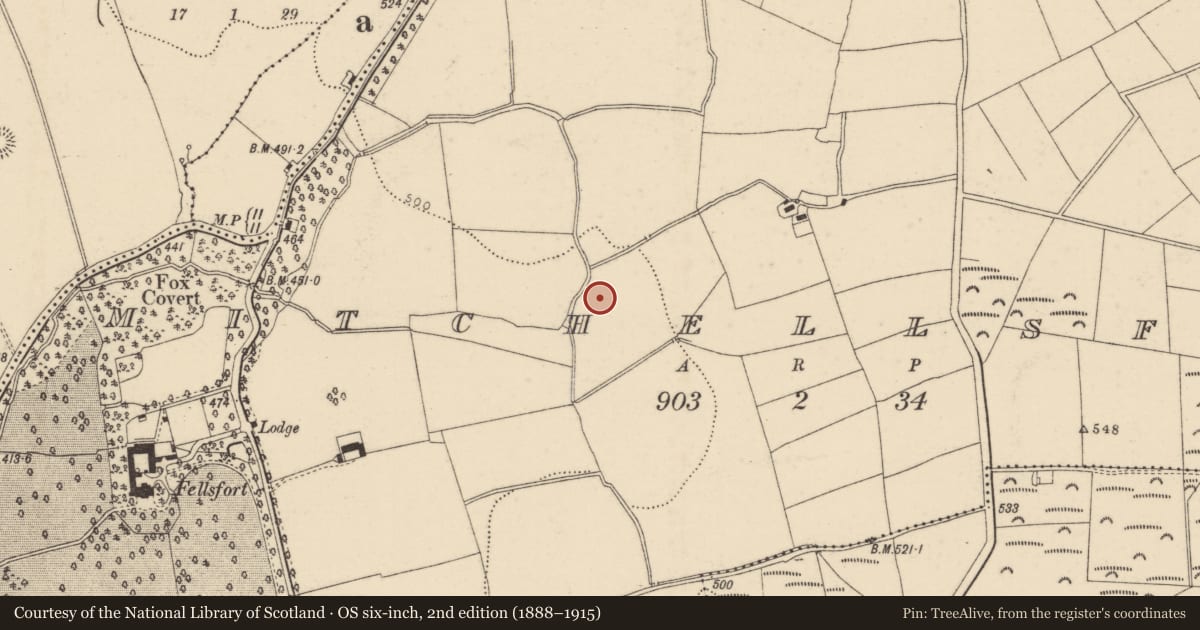 Ordnance Survey six-inch map, 2nd edition (1888–1915) covering the location of Fulacht fia, Mitchellsfort, County Cork, with a pin at the register's coordinates