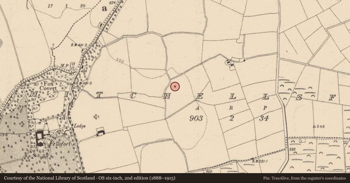 Ordnance Survey six-inch map, 2nd edition (1888–1915) covering the location of Fulacht fia, Mitchellsfort, County Cork, with a pin at the register's coordinates