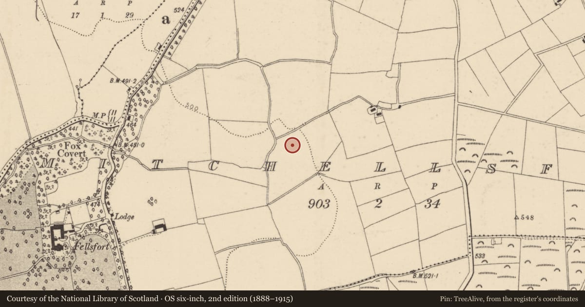 Ordnance Survey six-inch map, 2nd edition (1888–1915) covering the location of Fulacht fia, Mitchellsfort, County Cork, with a pin at the register's coordinates