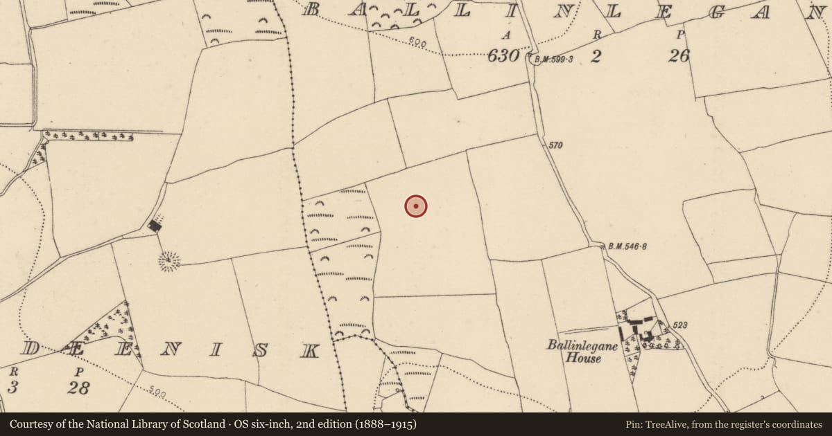 Ordnance Survey six-inch map, 2nd edition (1888–1915) covering the location of Enclosure, Ballinlegane, County Cork, with a pin at the register's coordinates