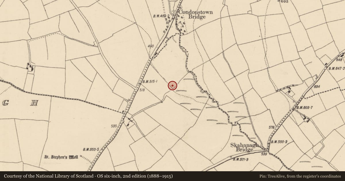 Ordnance Survey six-inch map, 2nd edition (1888–1915) covering the location of Fulacht fia, Meenane, County Cork, with a pin at the register's coordinates