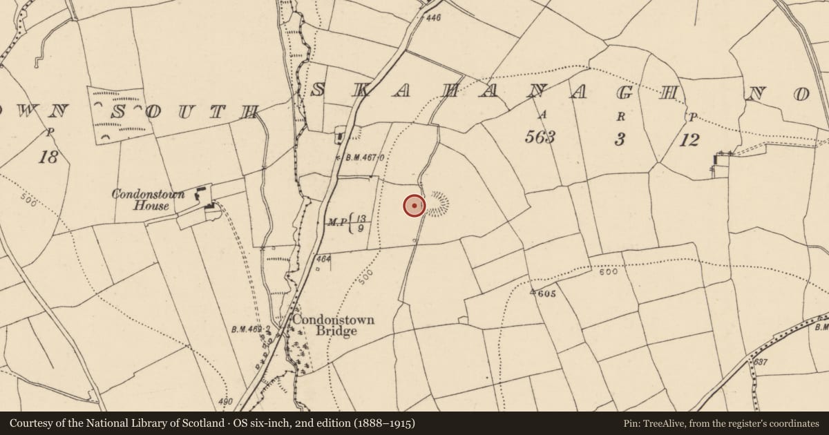 Ordnance Survey six-inch map, 2nd edition (1888–1915) covering the location of Structure, Skahanagh North, County Cork, with a pin at the register's coordinates