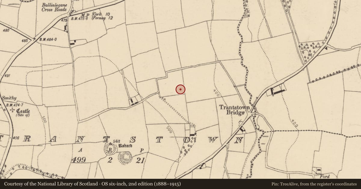 Ordnance Survey six-inch map, 2nd edition (1888–1915) covering the location of Burnt mound, Trantstown, County Cork, with a pin at the register's coordinates