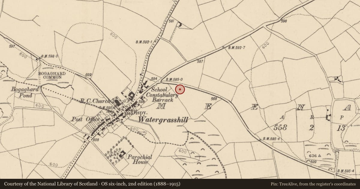 Ordnance Survey six-inch map, 2nd edition (1888–1915) covering the location of Fulacht fia, Meenane, County Cork, with a pin at the register's coordinates