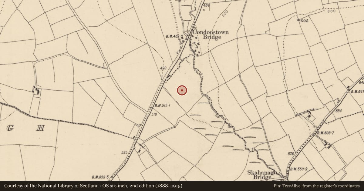 Ordnance Survey six-inch map, 2nd edition (1888–1915) covering the location of Fulacht fia, Meenane, County Cork, with a pin at the register's coordinates