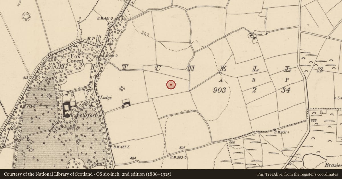 Ordnance Survey six-inch map, 2nd edition (1888–1915) covering the location of Burnt mound, Mitchellsfort, County Cork, with a pin at the register's coordinates