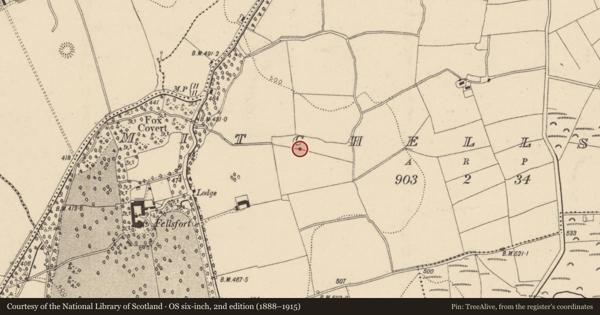 Ordnance Survey six-inch map, 2nd edition (1888–1915) covering the location of Burnt mound, Mitchellsfort, County Cork, with a pin at the register's coordinates