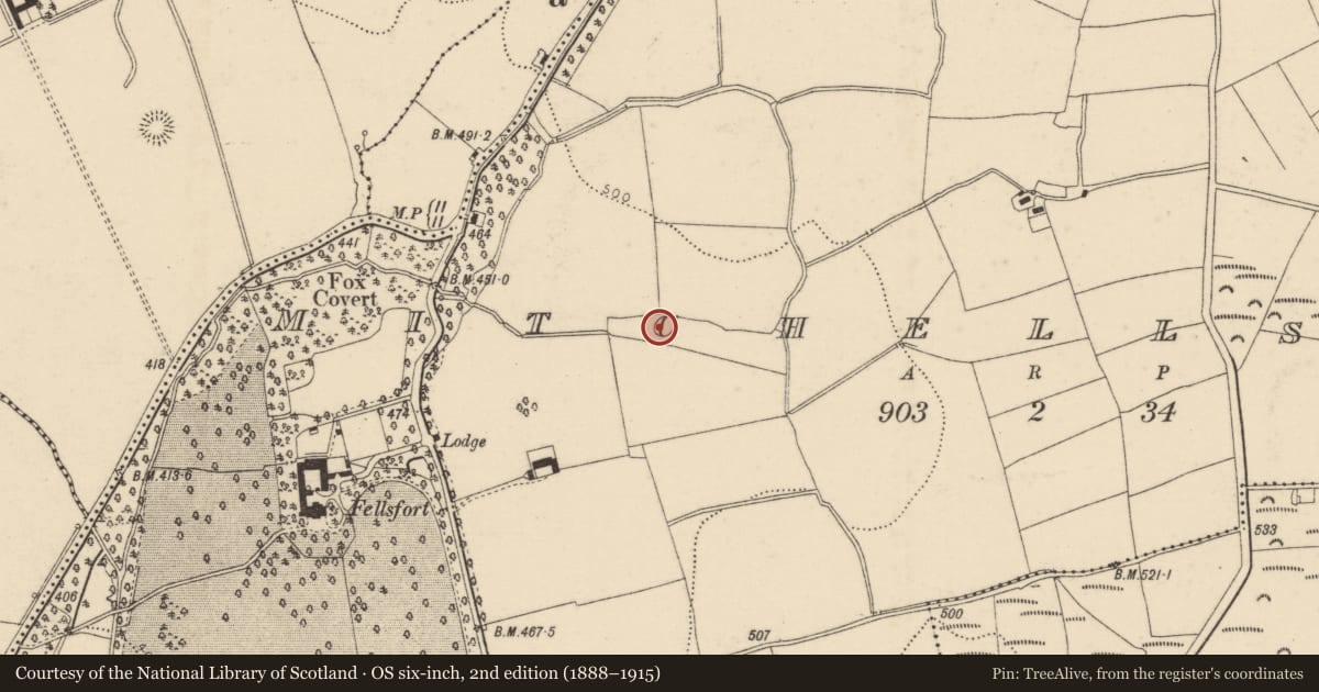 Ordnance Survey six-inch map, 2nd edition (1888–1915) covering the location of Cremated remains, Mitchellsfort, County Cork, with a pin at the register's coordinates
