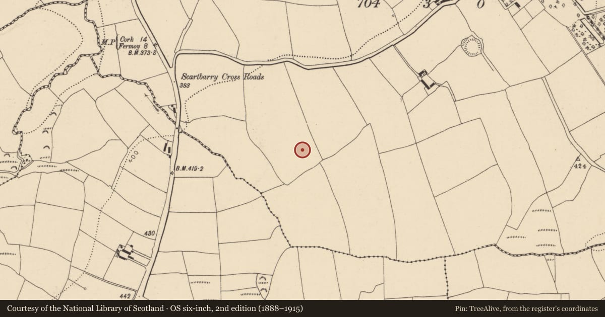 Ordnance Survey six-inch map, 2nd edition (1888–1915) covering the location of Excavation - miscellaneous, Scartbarry, County Cork, with a pin at the register's coordinates