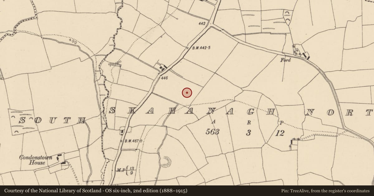 Ordnance Survey six-inch map, 2nd edition (1888–1915) covering the location of Pit-burial, Skahanagh North, County Cork, with a pin at the register's coordinates
