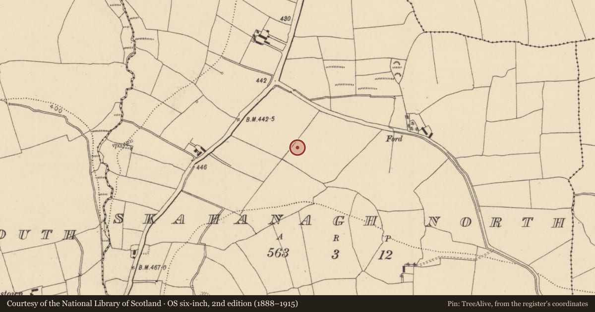 Ordnance Survey six-inch map, 2nd edition (1888–1915) covering the location of Excavation - miscellaneous, Skahanagh North, County Cork, with a pin at the register's coordinates