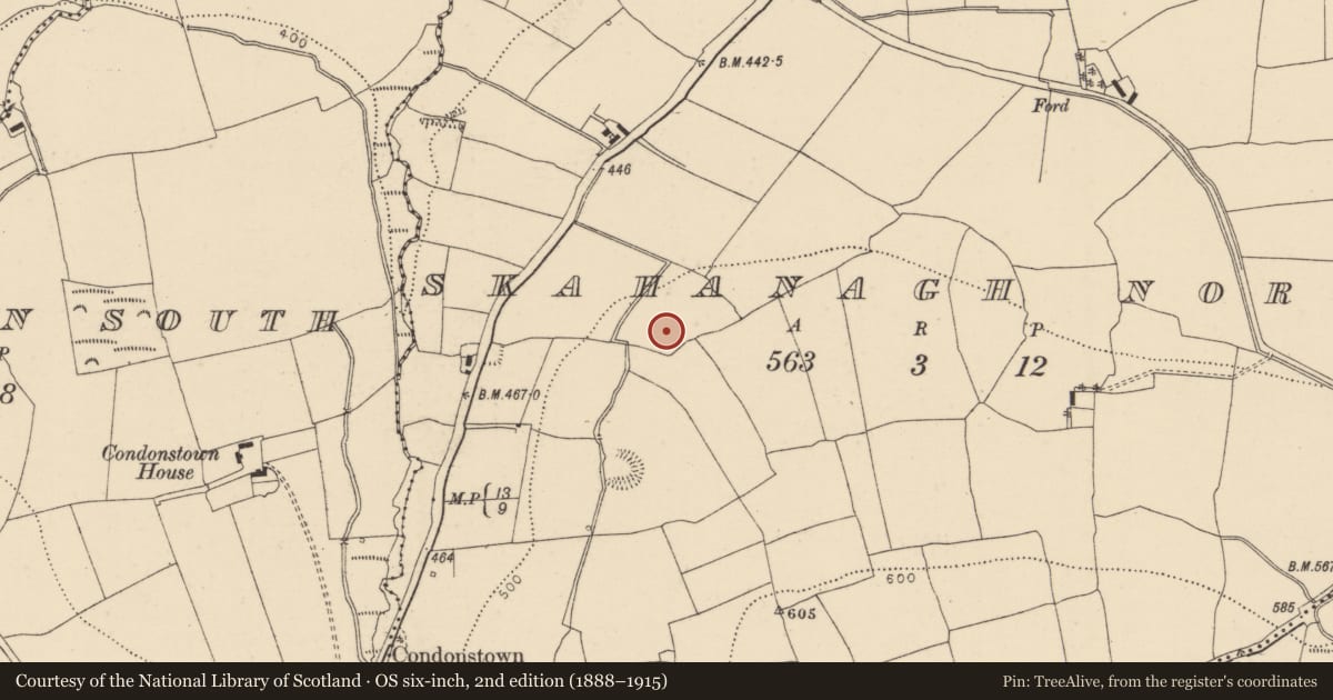 Ordnance Survey six-inch map, 2nd edition (1888–1915) covering the location of Burnt pit, Skahanagh North, County Cork, with a pin at the register's coordinates