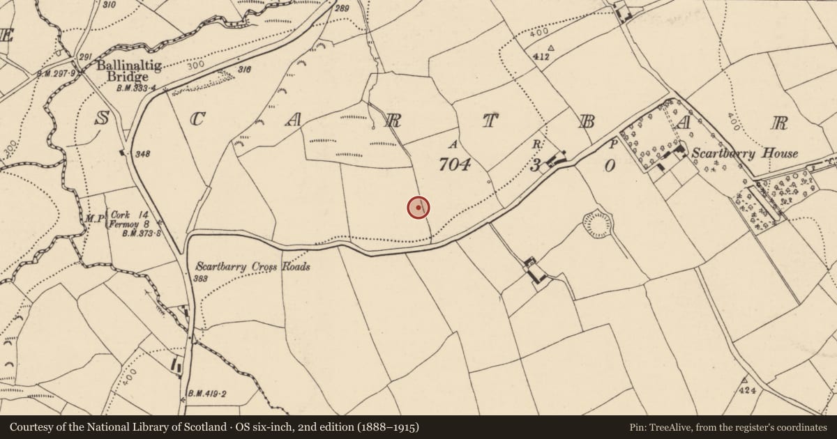 Ordnance Survey six-inch map, 2nd edition (1888–1915) covering the location of Fulacht fia, Scartbarry, County Cork, with a pin at the register's coordinates