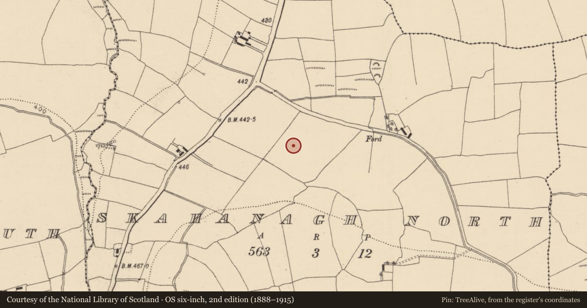 Ordnance Survey six-inch map, 2nd edition (1888–1915) covering the location of Field boundary, Skahanagh North, County Cork, with a pin at the register's coordinates