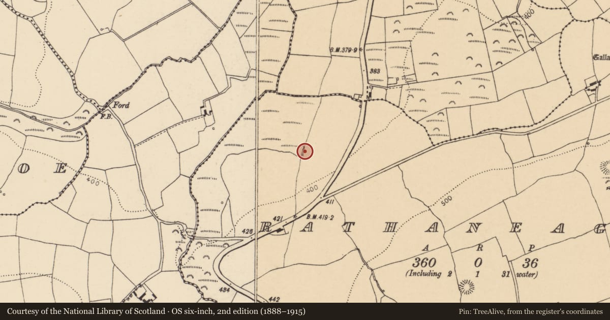 Ordnance Survey six-inch map, 2nd edition (1888–1915) covering the location of Fulacht fia, Rathaneague, County Cork, with a pin at the register's coordinates