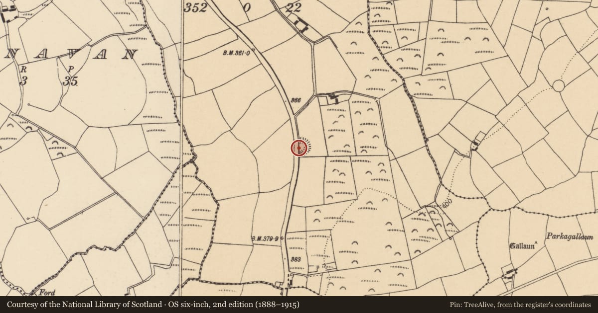 Ordnance Survey six-inch map, 2nd edition (1888–1915) covering the location of Ringfort - rath, Ballinwillin, County Cork, with a pin at the register's coordinates