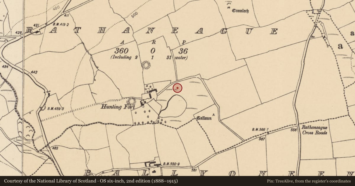 Ordnance Survey six-inch map, 2nd edition (1888–1915) covering the location of Fulacht fia, Rathaneague, County Cork, with a pin at the register's coordinates