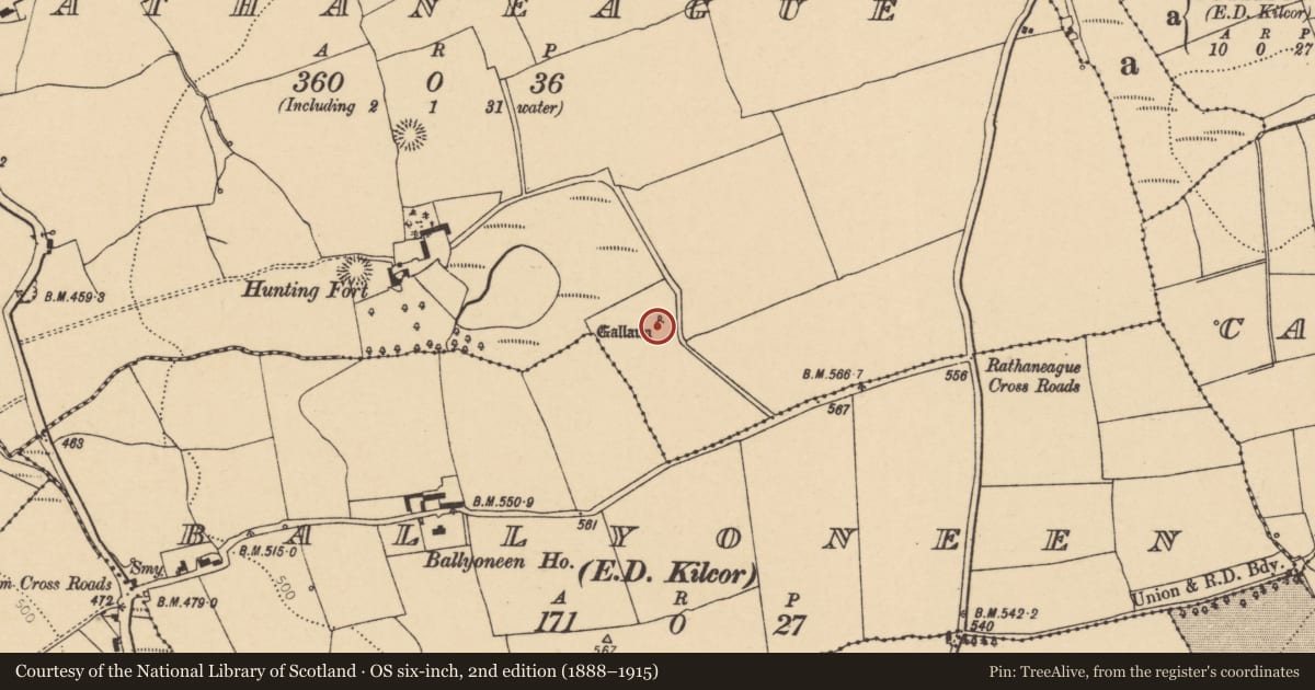 Ordnance Survey six-inch map, 2nd edition (1888–1915) covering the location of Standing stone, Rathaneague, County Cork, with a pin at the register's coordinates