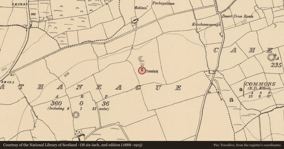 Ordnance Survey six-inch map, 2nd edition (1888–1915) covering the location of Megalithic tomb - wedge tomb, Rathaneague, County Cork, with a pin at the register's coordinates