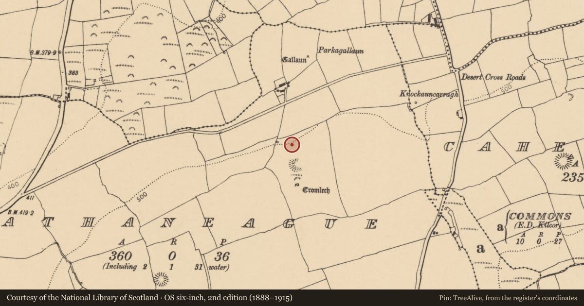 Ordnance Survey six-inch map, 2nd edition (1888–1915) covering the location of Megalithic structure, Rathaneague, County Cork, with a pin at the register's coordinates