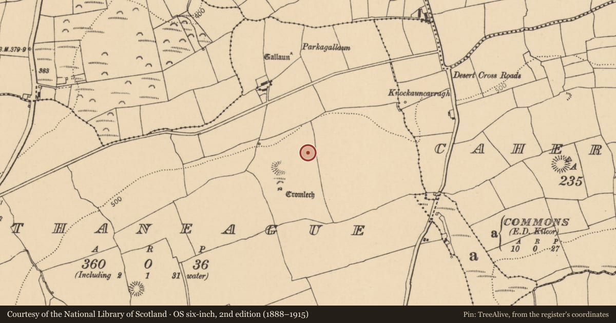 Ordnance Survey six-inch map, 2nd edition (1888–1915) covering the location of Standing stone, Rathaneague, County Cork, with a pin at the register's coordinates