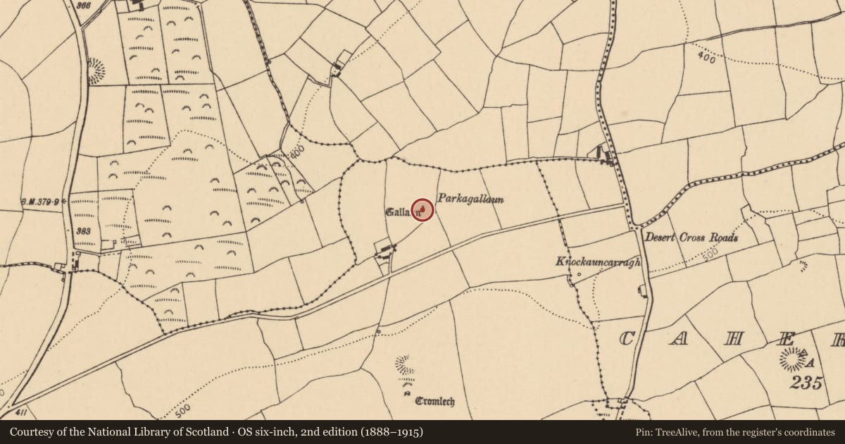 Ordnance Survey six-inch map, 2nd edition (1888–1915) covering the location of Standing stone, Rathaneague, County Cork, with a pin at the register's coordinates