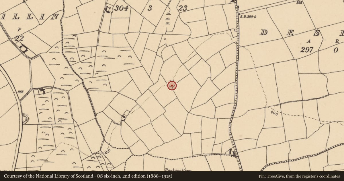 Ordnance Survey six-inch map, 2nd edition (1888–1915) covering the location of Ringfort - rath, Ballinure, County Cork, with a pin at the register's coordinates