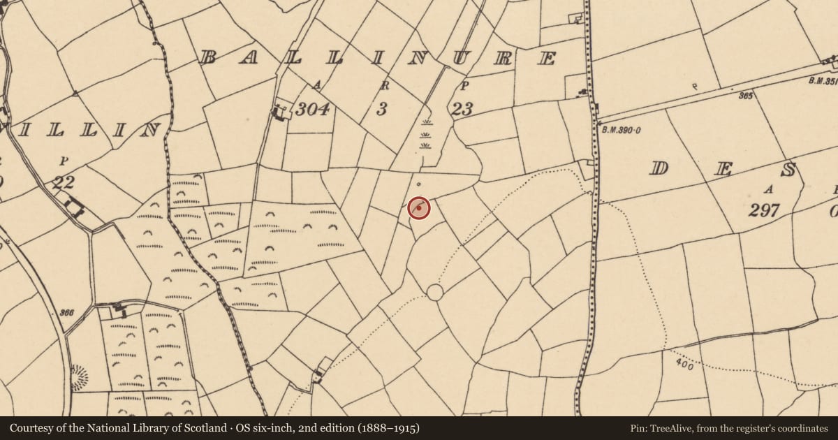 Ordnance Survey six-inch map, 2nd edition (1888–1915) covering the location of Fulacht fia, Ballinure, County Cork, with a pin at the register's coordinates