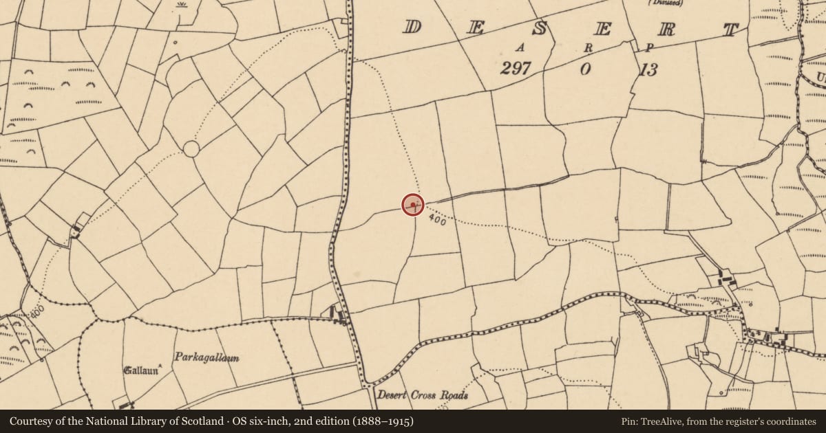 Ordnance Survey six-inch map, 2nd edition (1888–1915) covering the location of Fulacht fia, Desert, County Cork, with a pin at the register's coordinates