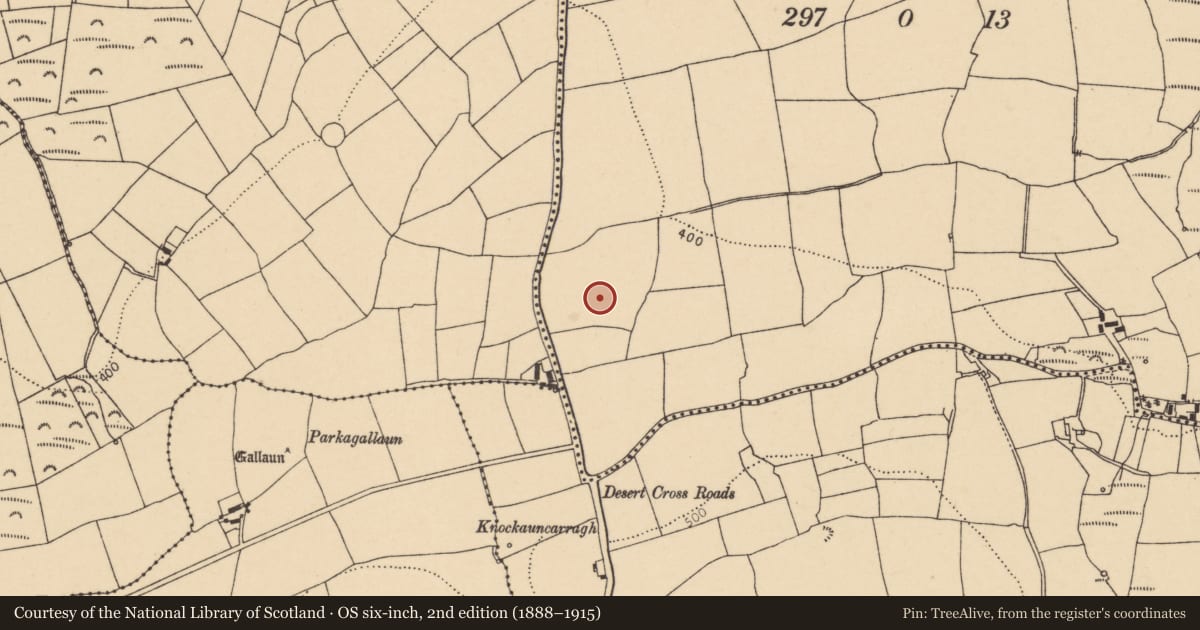 Ordnance Survey six-inch map, 2nd edition (1888–1915) covering the location of Fulacht fia, Desert, County Cork, with a pin at the register's coordinates