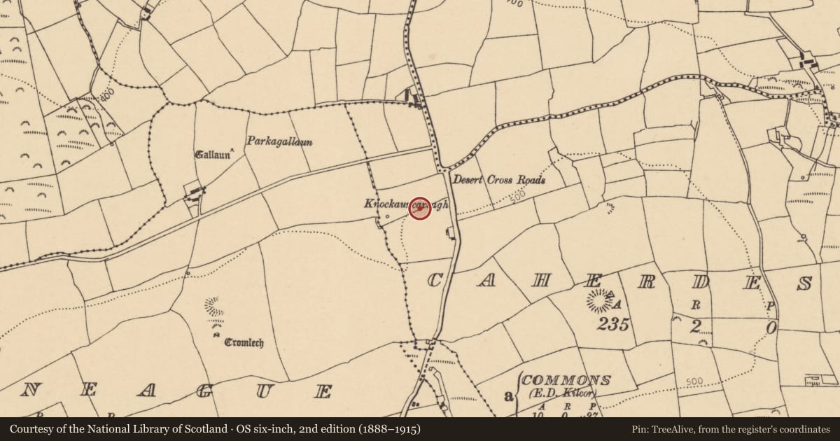 Ordnance Survey six-inch map, 2nd edition (1888–1915) covering the location of Mound, Caherdesert, County Cork, with a pin at the register's coordinates