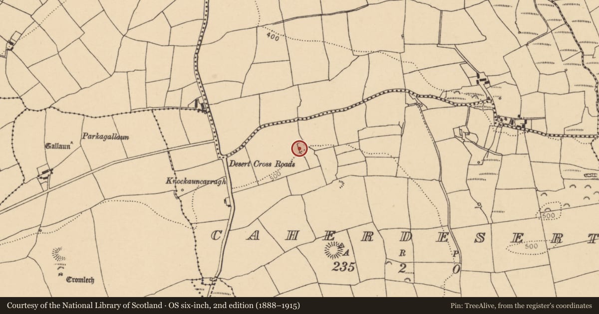 Ordnance Survey six-inch map, 2nd edition (1888–1915) covering the location of Burial ground, Caherdesert, County Cork, with a pin at the register's coordinates