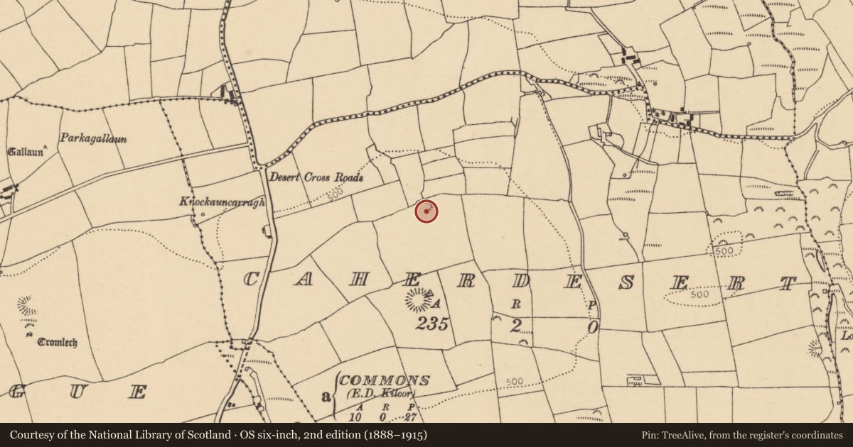 Ordnance Survey six-inch map, 2nd edition (1888–1915) covering the location of Earthwork, Caherdesert, County Cork, with a pin at the register's coordinates