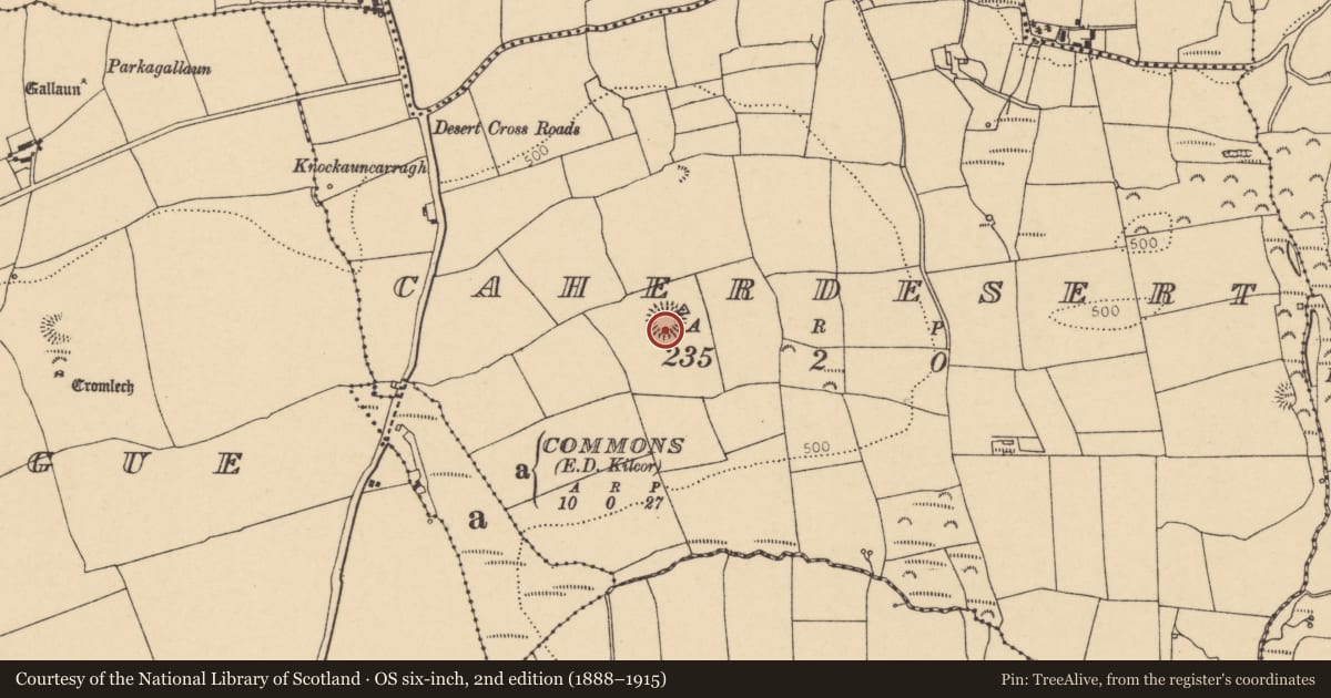 Ordnance Survey six-inch map, 2nd edition (1888–1915) covering the location of Ringfort - cashel, Caherdesert, County Cork, with a pin at the register's coordinates