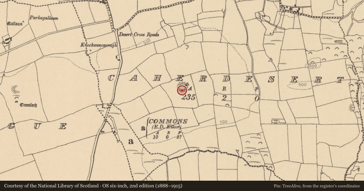 Ordnance Survey six-inch map, 2nd edition (1888–1915) covering the location of Souterrain, Caherdesert, County Cork, with a pin at the register's coordinates