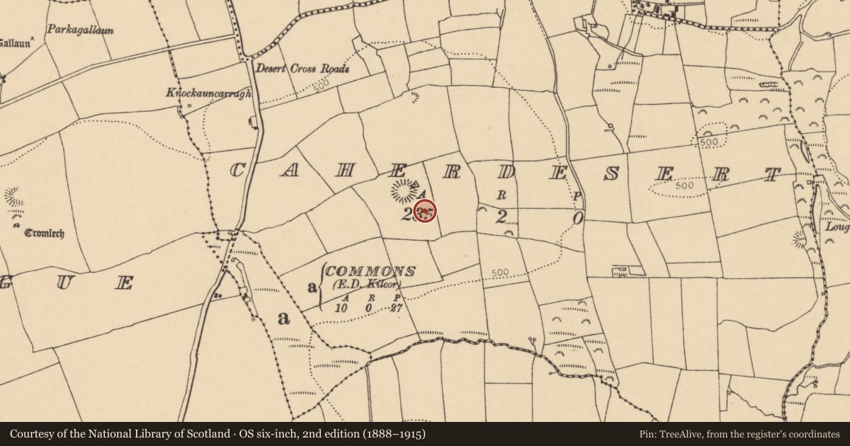 Ordnance Survey six-inch map, 2nd edition (1888–1915) covering the location of Enclosure, Caherdesert, County Cork, with a pin at the register's coordinates