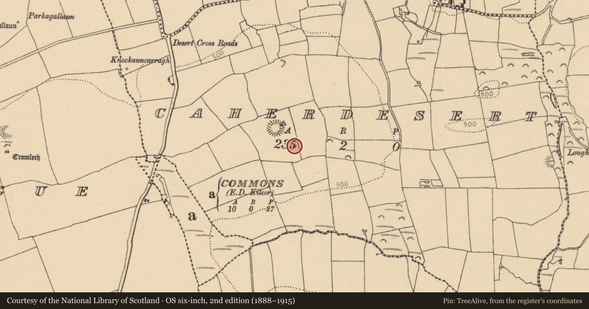 Ordnance Survey six-inch map, 2nd edition (1888–1915) covering the location of Souterrain, Caherdesert, County Cork, with a pin at the register's coordinates
