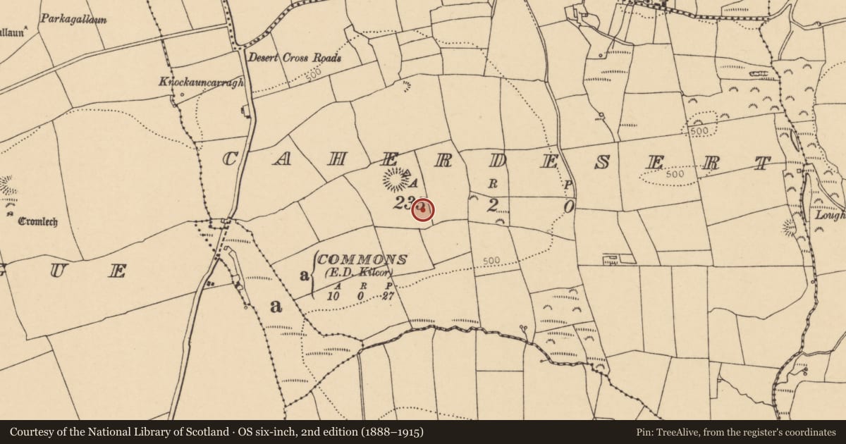 Ordnance Survey six-inch map, 2nd edition (1888–1915) covering the location of Standing stone, Caherdesert, County Cork, with a pin at the register's coordinates
