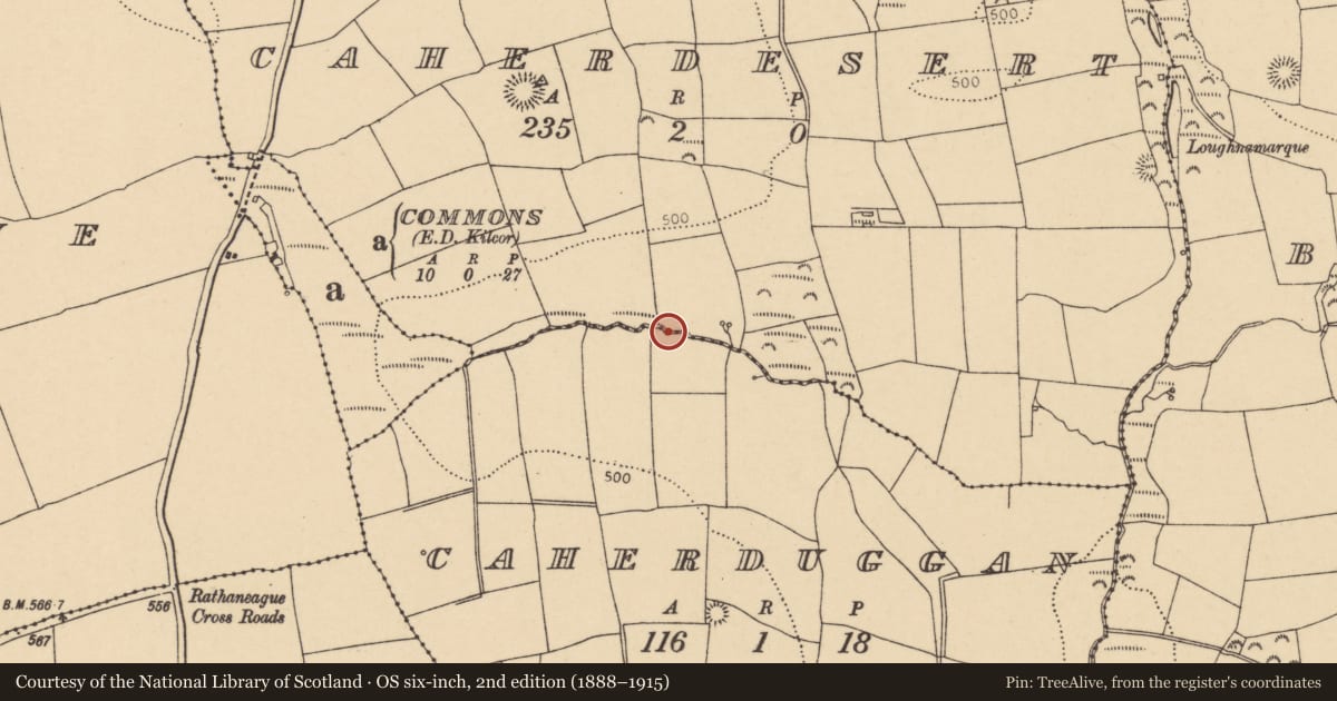 Ordnance Survey six-inch map, 2nd edition (1888–1915) covering the location of Enclosure, Caherdesert, County Cork, with a pin at the register's coordinates