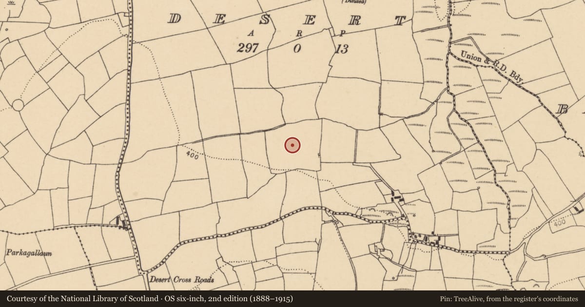 Ordnance Survey six-inch map, 2nd edition (1888–1915) covering the location of Standing stone, Desert, County Cork, with a pin at the register's coordinates