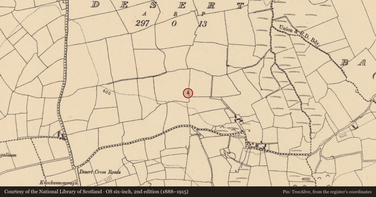 Ordnance Survey six-inch map, 2nd edition (1888–1915) covering the location of Kiln - lime, Desert, County Cork, with a pin at the register's coordinates